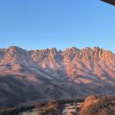 소노펠리체 델피노 이미지