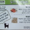 뷰티 앤 독 이미지