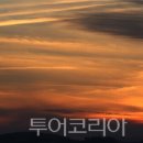 함평