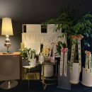 선릉역 | 선릉역마사지 리얼후기 분위기부터 남다른 이유