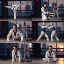 한국태권도 | 성인도 태권도를 배울 수 있다. 운동, 태권도 초보를 위한 입문 가이드