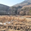 달맞이소공원 네이버블로그