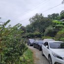 은혜의 뜨락 이미지