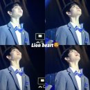 라이언하트 이미지