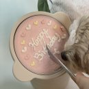 한천우체국 | 해피팡팡 수제 [강아지케이크] 강아지생일케이크 배송후기 (+누 돌잔치)