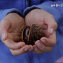 늘푸른 노인전문요양원