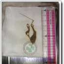 밀리언동물병원 이미지