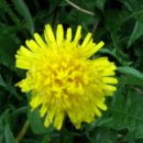 윤성농장 이미지