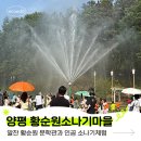 2299 | 아이랑 가기 좋은 양평 황순원 문학촌 소나기마을 | 주차, 근처 맛집 흥부가 서종점