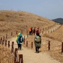 바라길 이미지