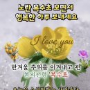 고운 빛줄기 이미지