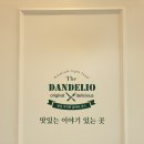 민들레 김밥 이미지