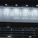 디올테라피 이미지