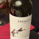 2022 | 덕혼 패러덕스 Paraduxx 2022 후기｜나파 레드블렌드 추천, 역시 믿고 마시는 덕혼 패밀리