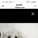 주안8동윤성아파트 네이버블로그