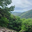 서봉1구 | [사천 봉명산 등산] 다솔사 보안암 석굴 코스