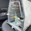 군포굿닥터동물병원 | 앵무새 병원 진료, 타박상 상처 / 군포 굿닥터 동물병원