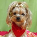 러블리 몽몽 이미지