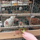 한사랑농장 이미지