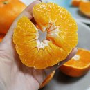 한길3농장 이미지