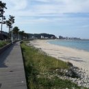 동해바다 이미지