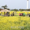왈츠 - 남구 분포로 145 | 왈츠