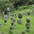 방림원 식물원 이미지