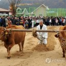 소몰이 - 동래구 충렬대로359번길 24 | 소몰이