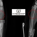 정강동물병원 이미지