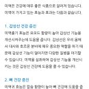 미역의 효능과 부작용 이미지