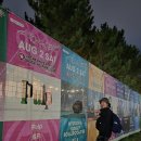 삼산사이그라운드 | 2025년엔 26개의 공연/페스티벌에 다녀왔다