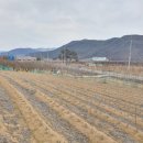 경북부동산중개사무소 이미지