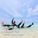 수나투어 | 보홀 3박5일 자유여행 추천! 나투어 내돈내산 후기 나팔링, 대왕조개, 파밀라칸