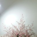 꽃뜨레플라워 이미지