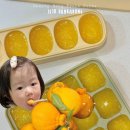 해동 농장 | 아기 퓨레 만들기 한라봉퓨레 엄마표 간식 라니네농장 제주 귤 택배