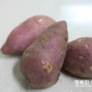임씨상회