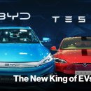 How China's BYD Overtook Tesla 이미지