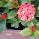 소명 행정사사무소 이미지