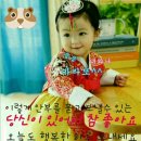가지가지 Daum카페