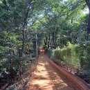 새벽노을 이미지