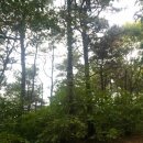 선희청과 | 소설...[등정] ...(55)다소 감상적이라도