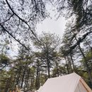 수덕초등학교 | [20.04.30 - 05.03, 42th] @파인힐캠프 캠핑장