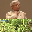 세모안경 이미지