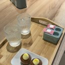 시에스타민박 | 나트랑 시내 호텔) 0.5박용 호텔 "시에스타" 추천X, (vs "디셈버" 비교) 솔직 후기