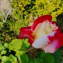 제일주유소 공중화장실 이미지