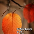 꽃마루 이미지