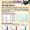 ★★★독일산 아로니아 65브릭스 농축액 1000g 5병 한정[전액기부] 이미지