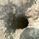 느티나무당구장 이미지