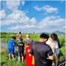 천일태권도장 이미지