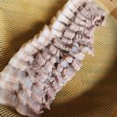 허브나라농원 | [평창 휘닉스파크 블루캐니언부터 허브나라농원·한정식 맛집까지] 알찬 1박2일 여행코스 후기